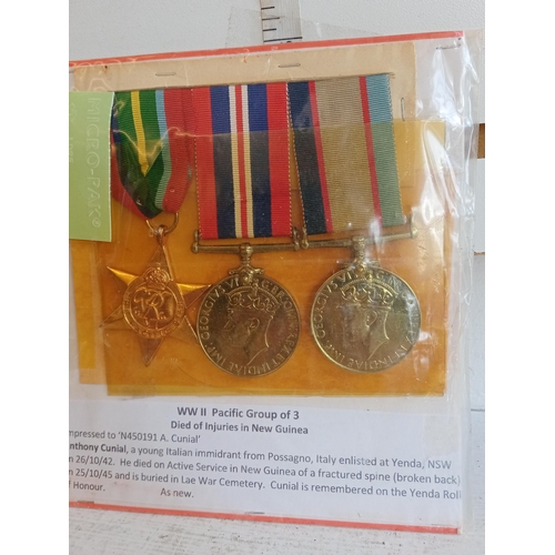 55 - WW1 Pacific Group of 3 Medals, Died of Injuries in New Guniea