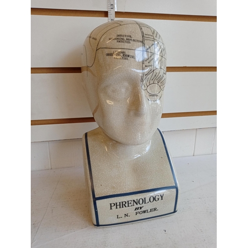 222 - Phrenology Head