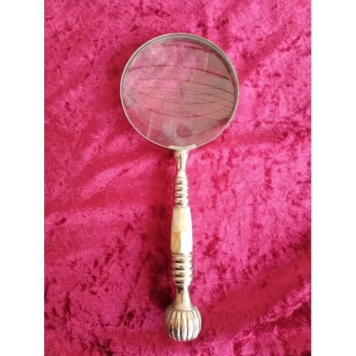 259 - Ornate Magnifying Glass