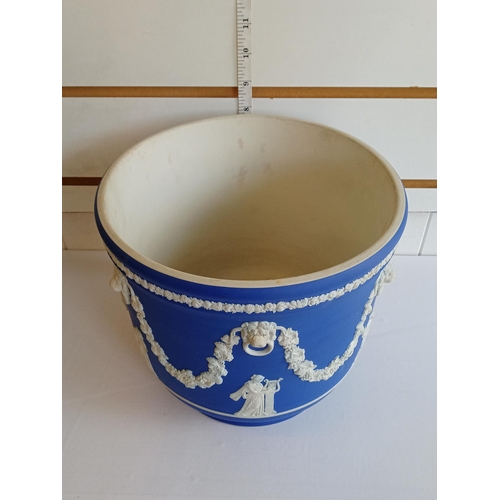 16 - Large Wedgwood Planter, No Damage