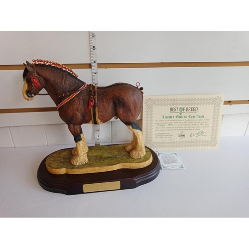 32 - Best of Breeds By Nature Craft, Hand Painted Champion Shire Horse Limited Edition with Certificate