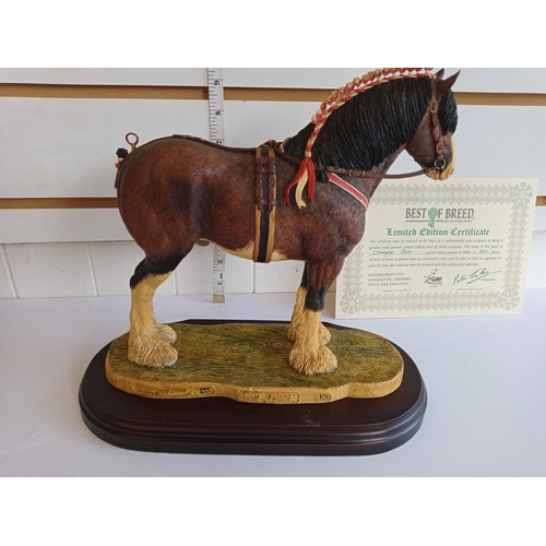 32 - Best of Breeds By Nature Craft, Hand Painted Champion Shire Horse Limited Edition with Certificate