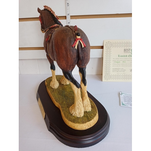 32 - Best of Breeds By Nature Craft, Hand Painted Champion Shire Horse Limited Edition with Certificate