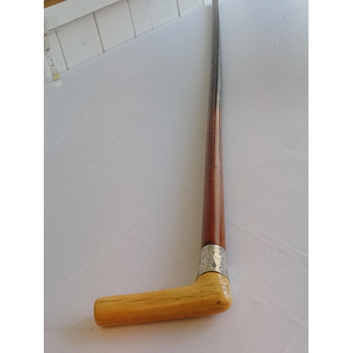 34 - Bone & Silver Banded Walking Stick