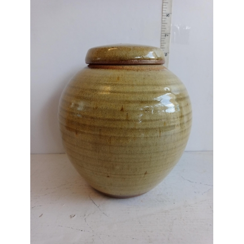 136 - Studio Ginger Jar