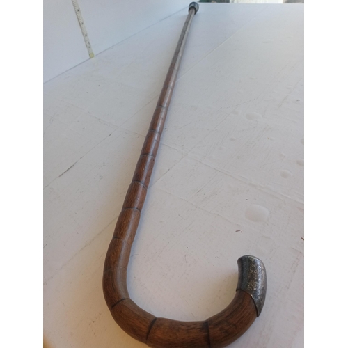 161 - Silver Mounted Walking Stick