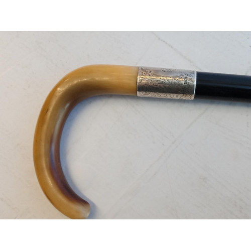 114 - Horn & Silver Mounted Walking Stick