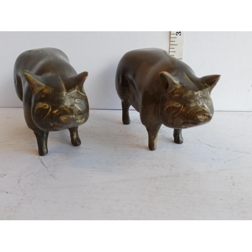 299 - Pair of Heavy Bronze Pig Ornaments