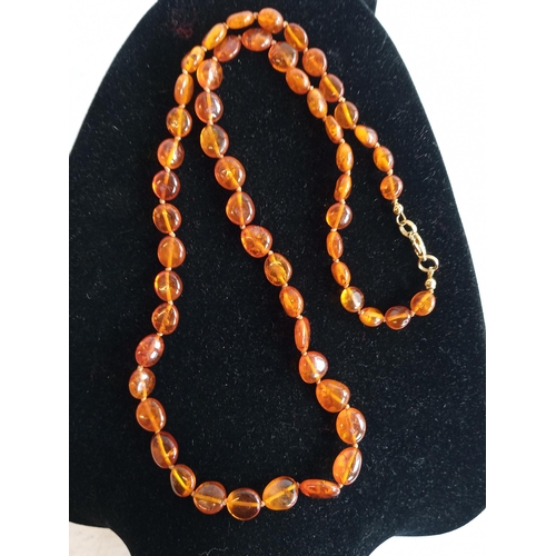 5 - Amber Necklace