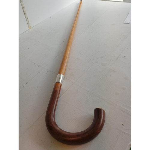 61 - Silver Banded Walking Stick