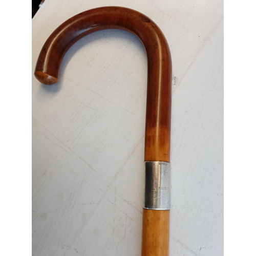 61 - Silver Banded Walking Stick