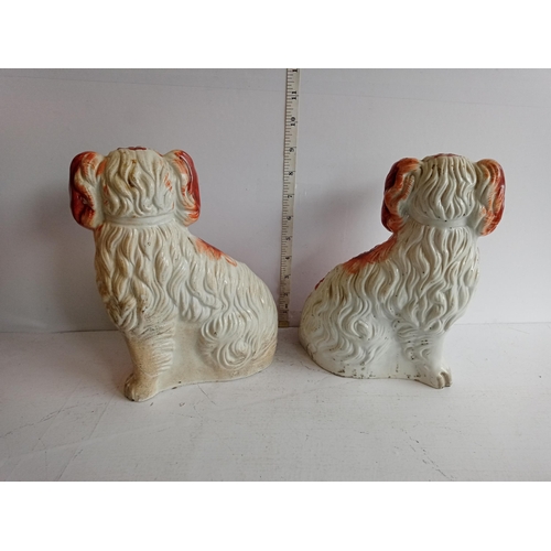 77 - Pair of1840's Staffordshire Flatback Spaniel Dogs. nice condition