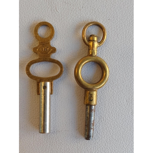 228 - 2 Vintage Watch Keys