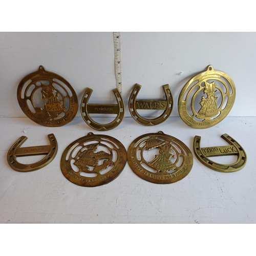 218 - Selection of Large Horse Brasses