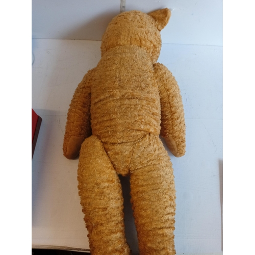 79 - Early Articulated Teddy with Glass Eyes & Noise