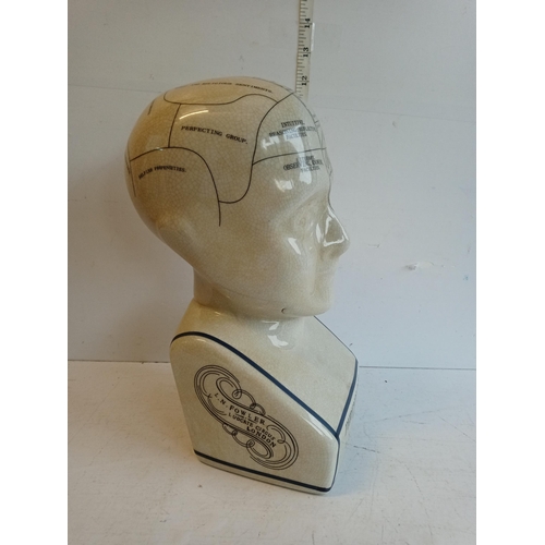 127 - Phrenology Head