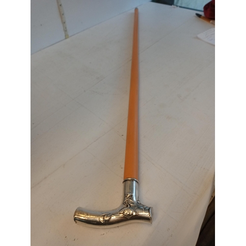 130 - Lovely Silver Handle Walking Stick