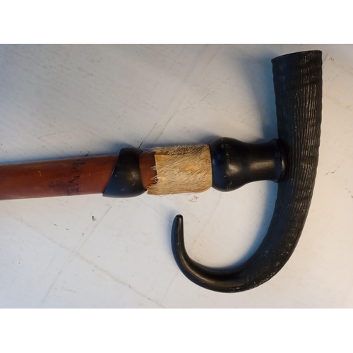 55 - Horn Hoof Walking Stick