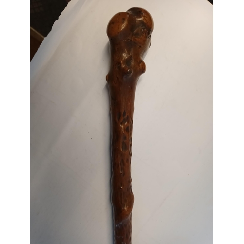 53 - Good Quality Walking Cane