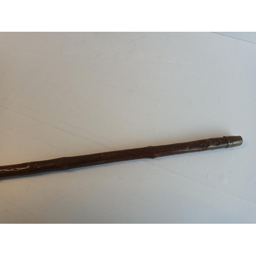 53 - Good Quality Walking Cane