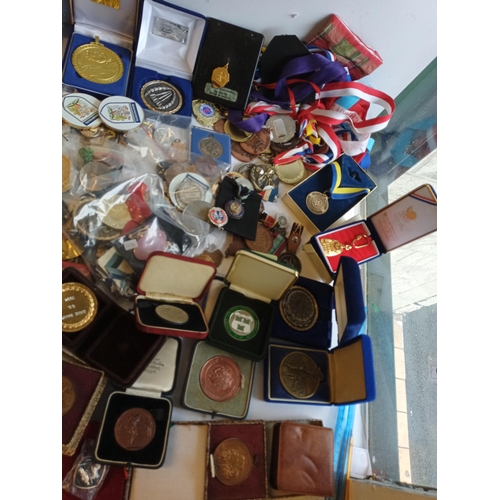 116 - Very Large Selection of Medals, Badges & Other