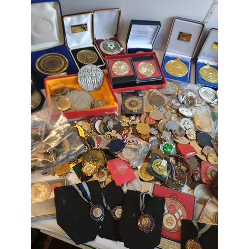 116 - Very Large Selection of Medals, Badges & Other