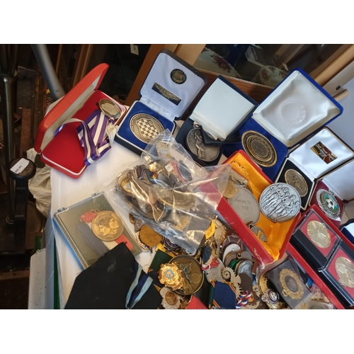 116 - Very Large Selection of Medals, Badges & Other