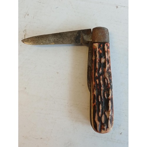 248 - Vintage Stag Horn Handle Penknife