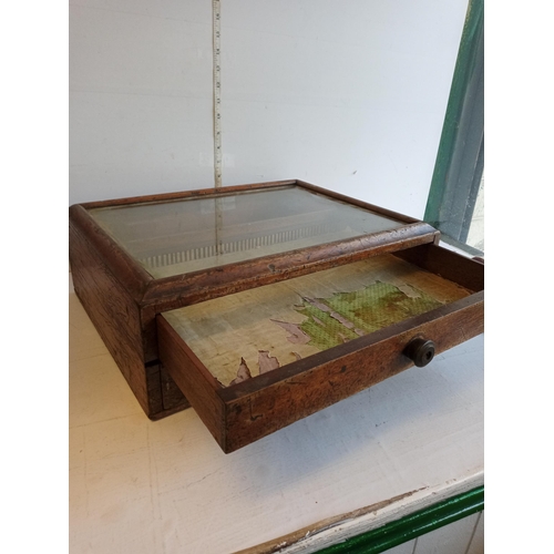 87 - Antique Display Box with Drawers