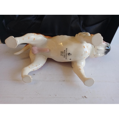 103 - Royal Doulton Bull Dog, Boxed