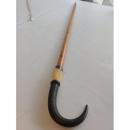 124 - Horn Handle Walking Stick, Rigi-Kulm