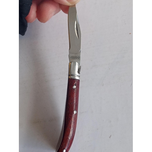 21 - Unusual Folding Penknife