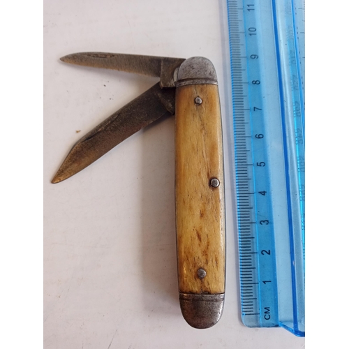 46 - Bone Handle Penknife