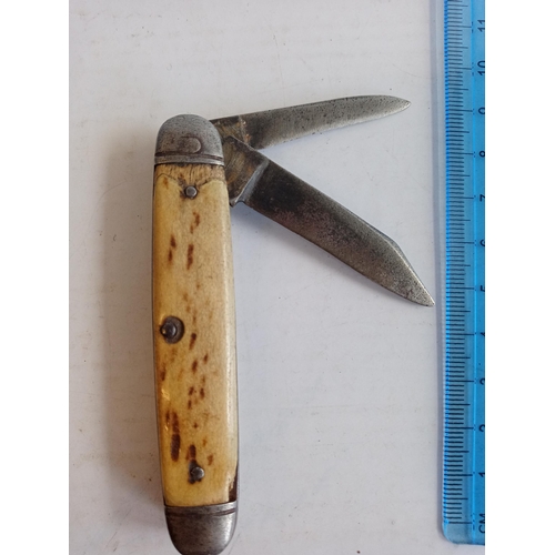 46 - Bone Handle Penknife