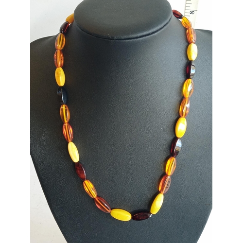 50 - Amber Necklace