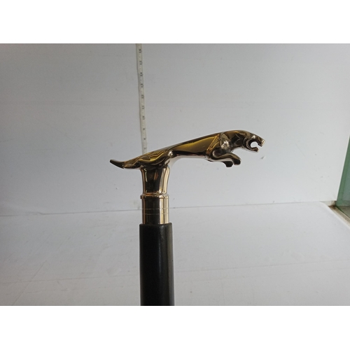 63 - Jaguar Handle Walking Stick