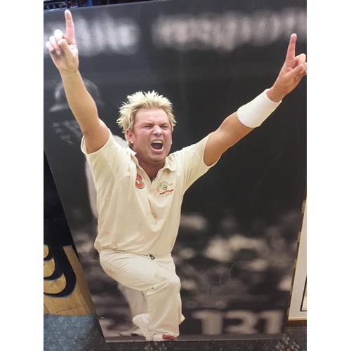 414 - Framed Signed Shane Warne Collage, Inc Cricket Bat, Ball & one Canvas Picture. Shipping Unavailable