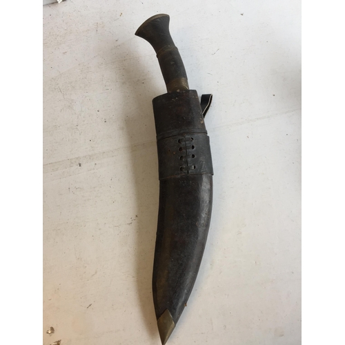 Lot 49        