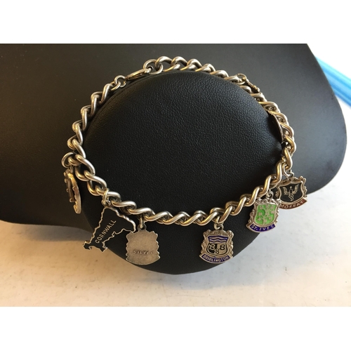 269 - Silver Charm Bracelet