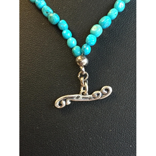 248 - Genuine Turquoise Bracelet with Silver Clasp