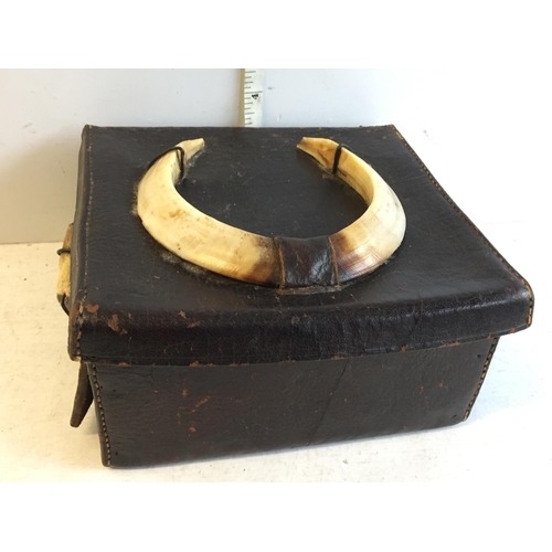 385 - Boars Tusk Hide Box, Early