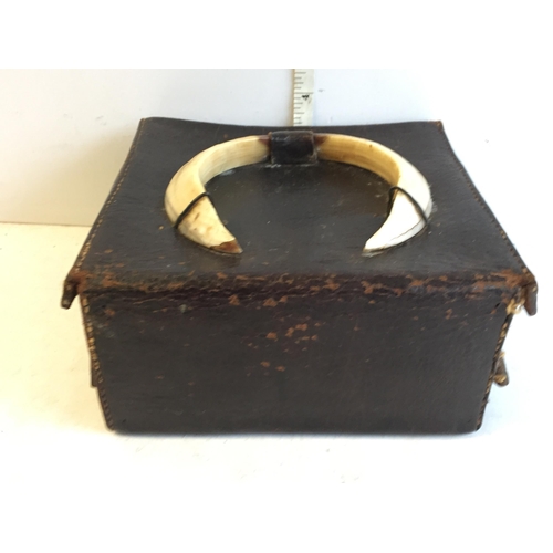 385 - Boars Tusk Hide Box, Early