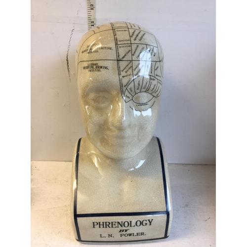 407 - Phrenology Head