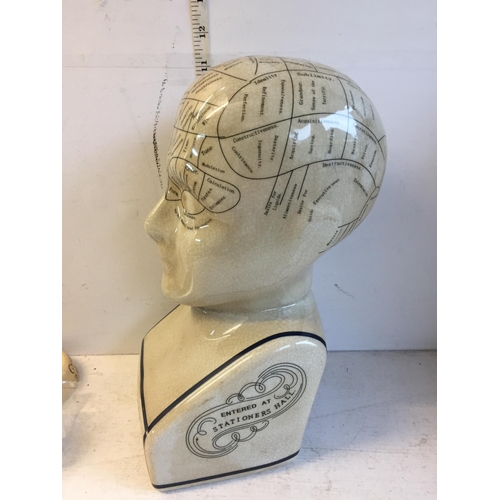 407 - Phrenology Head