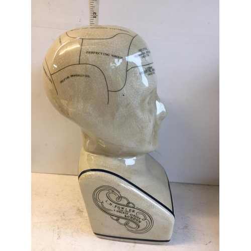 407 - Phrenology Head