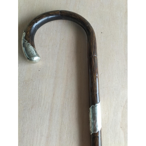 64 - Lovely Silver Banded Walking Cane