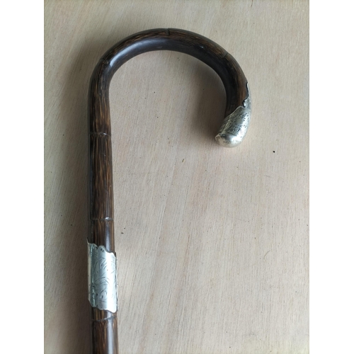 64 - Lovely Silver Banded Walking Cane