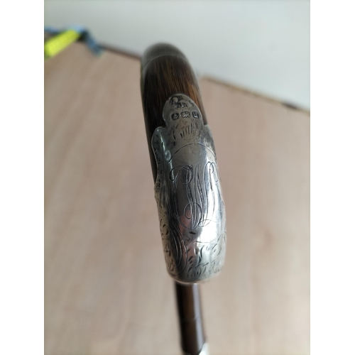 64 - Lovely Silver Banded Walking Cane