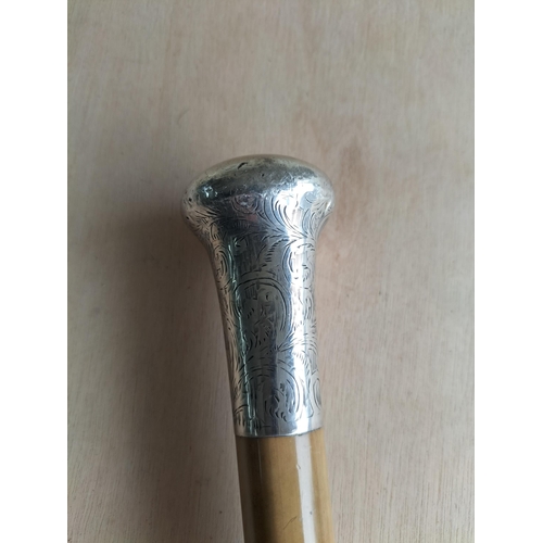 66 - Very Nice Hall Marked Silver Topped Walking Cane