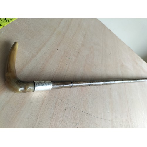 67 - Silver Banded Horn Handled Walking Cane